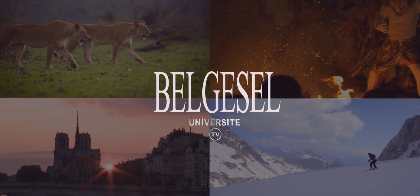BELGESEL
